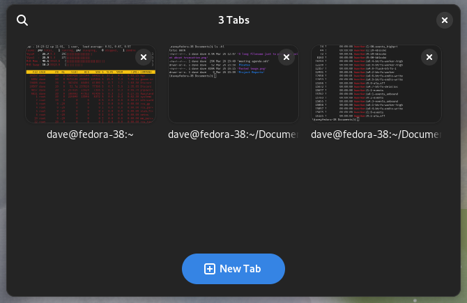 The GNOME console terminal emulator showing the tab overview