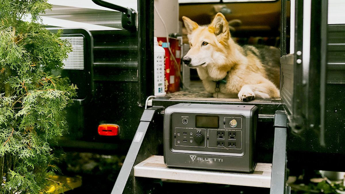 Dog By A BLUETTI Portable Generator