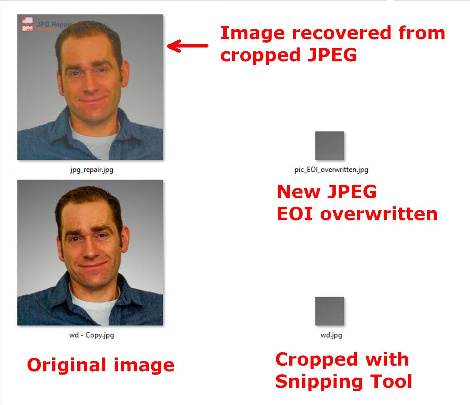 Demo of a cropped image being recovered
