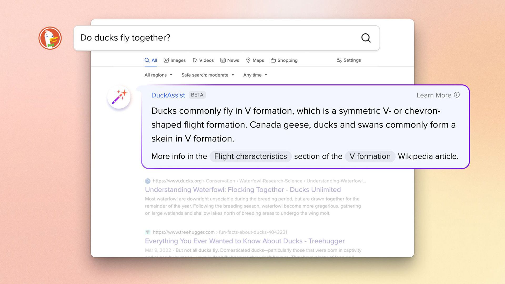 Exploring the Innovative Strategy Behind DuckDuckGo's Latest AI-Powered Search Technology