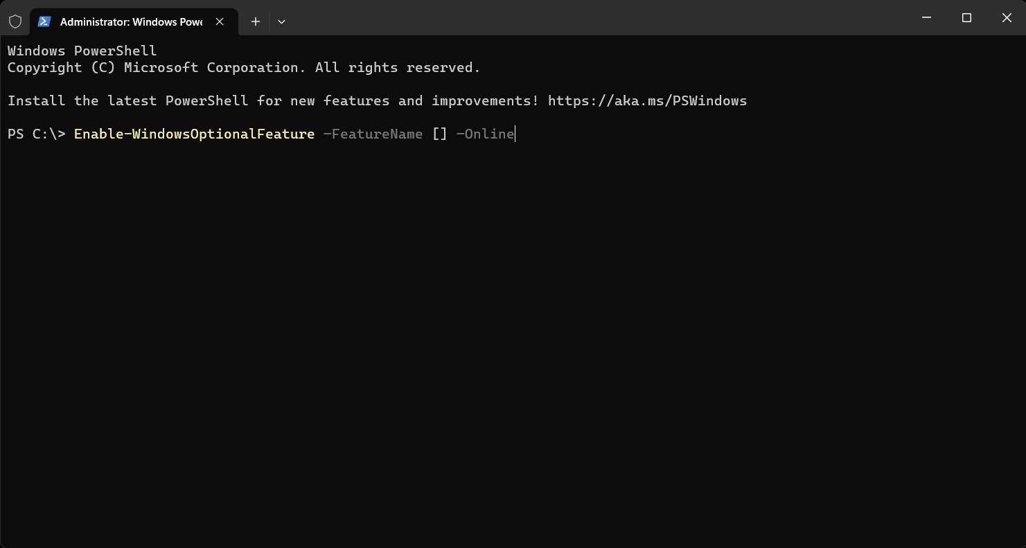 Using a command line to enable a feature in Terminal.