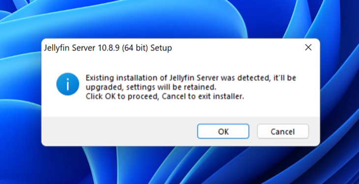 Update Jellyfin for Windows by running the installer