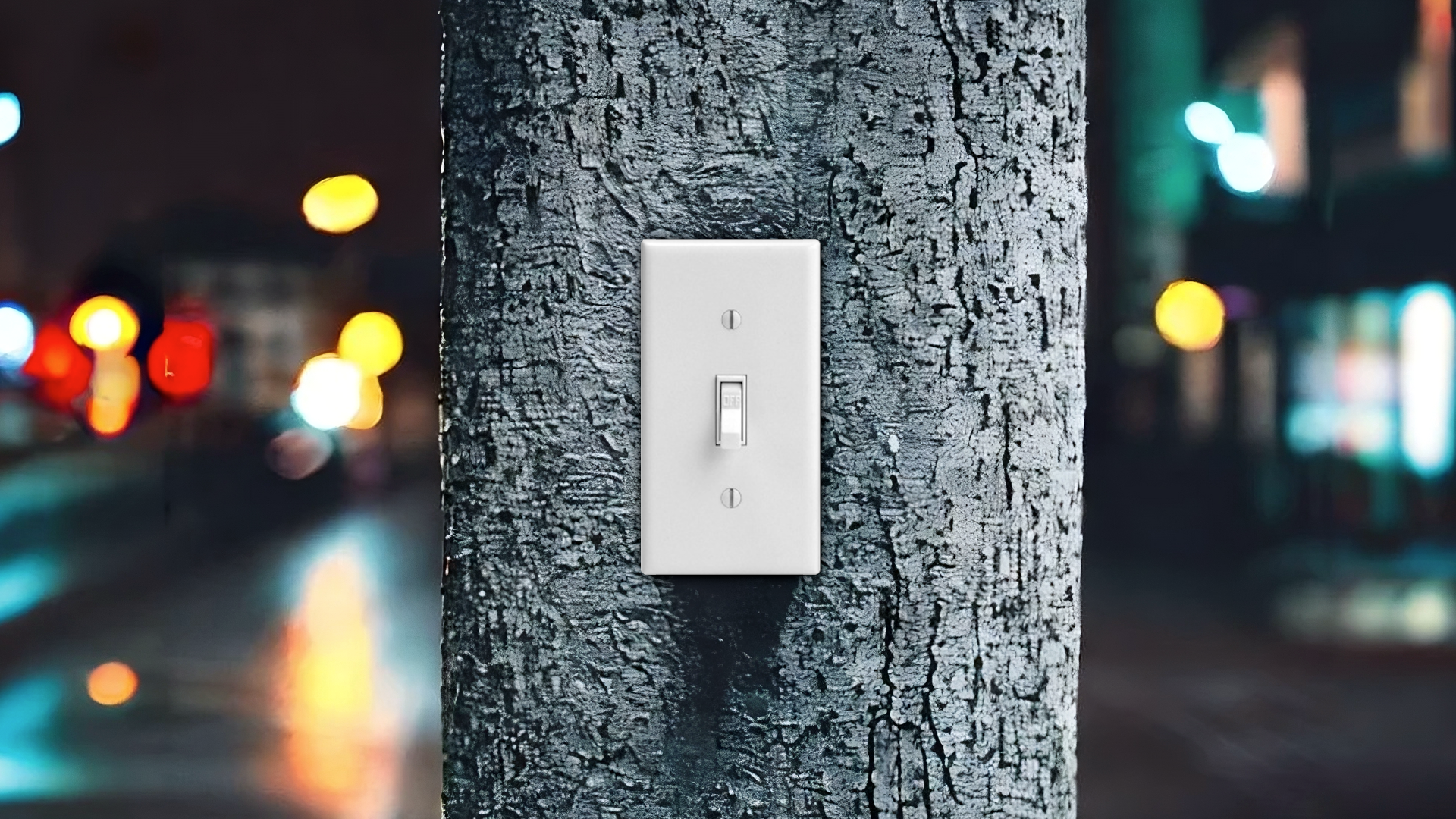 Light switch on a tree.