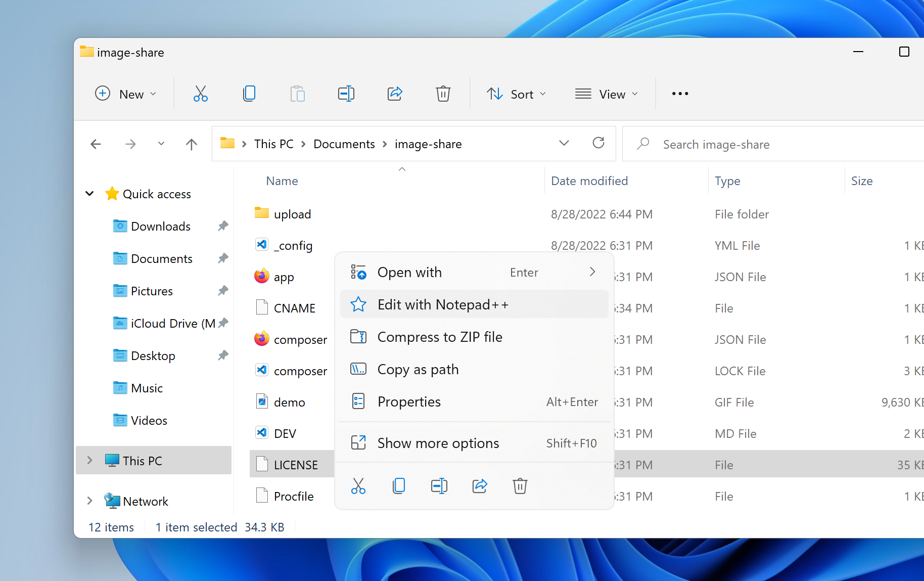Notepad++ menu in Windows 11