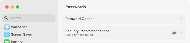 iCloud Passwords security recommendations