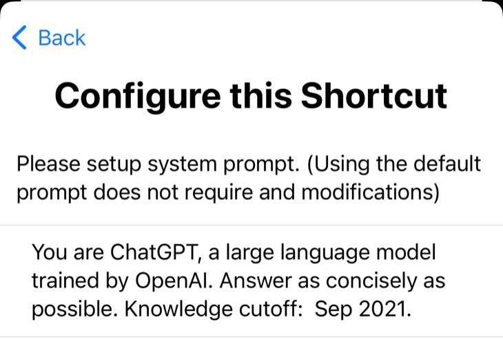 Configure ChatGPT's prompt