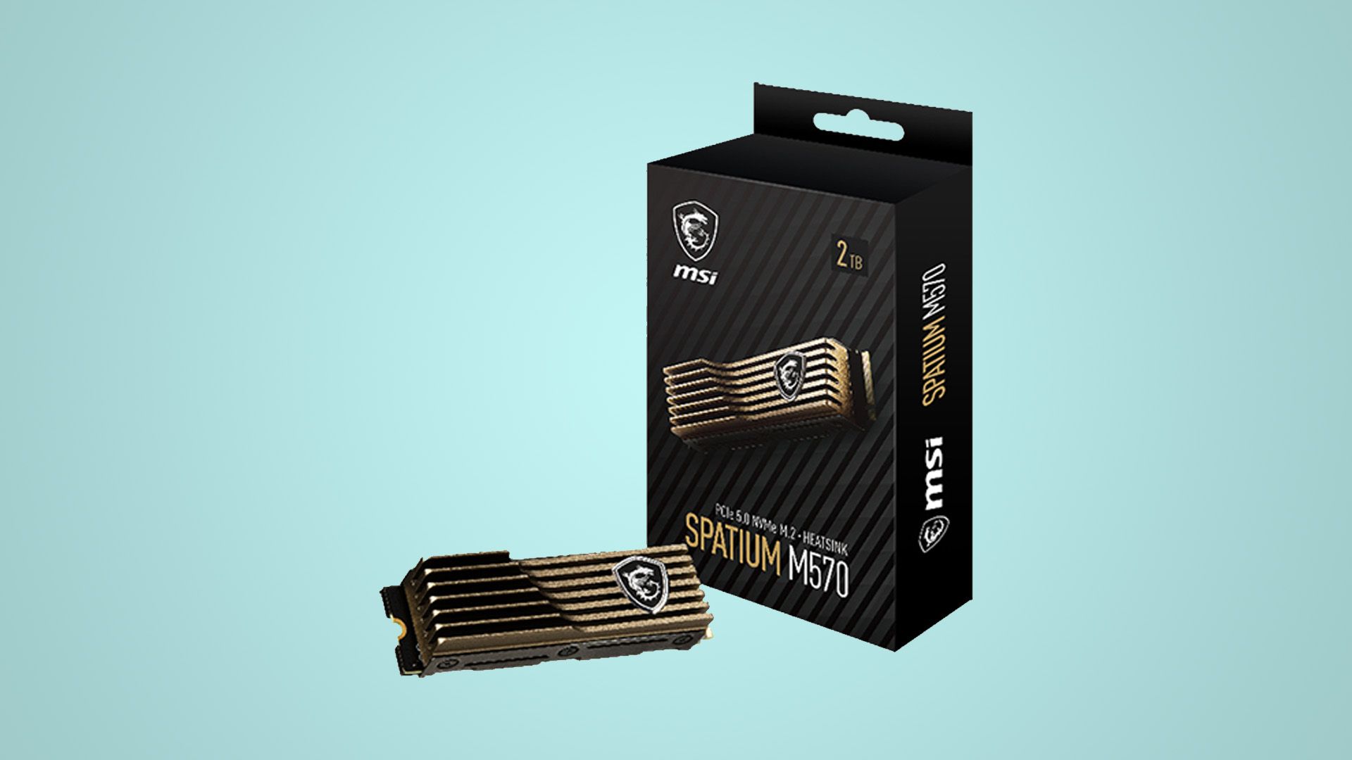 Photo of an SSD with its box