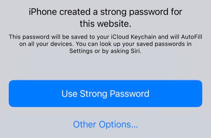 iCloud will create a strong password when you need one