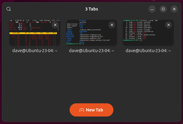The GNOME console showing the tab overview screen