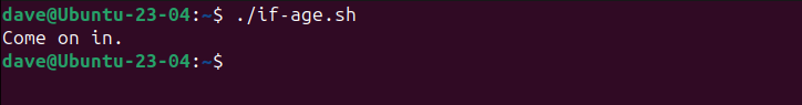 How to Use Bash If Statements (With 4 Examples)