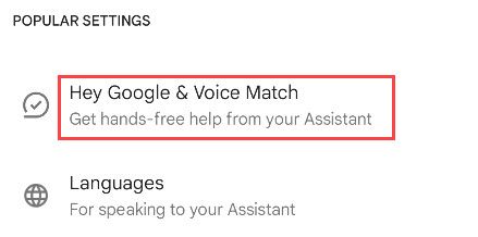 Select "Hey Google and Voice Match."