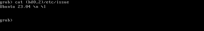 Looking at the version of Linux using the cat command in the GRUB shell
