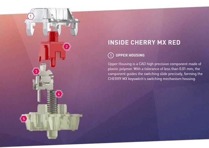 An exploded view of the Cherry MX Red.