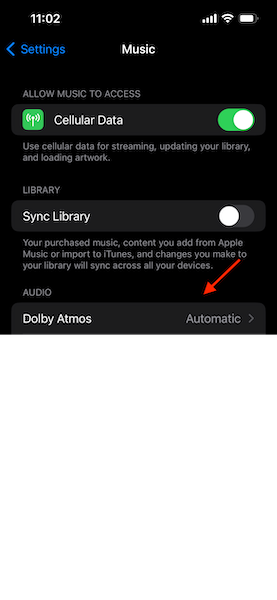 Select "Automatic" or "Always On" next to Dolby Atmos in the settings menu.