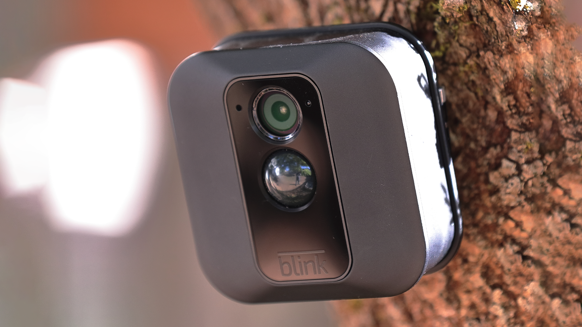 A Blink XT smart security camera installed on a tree.