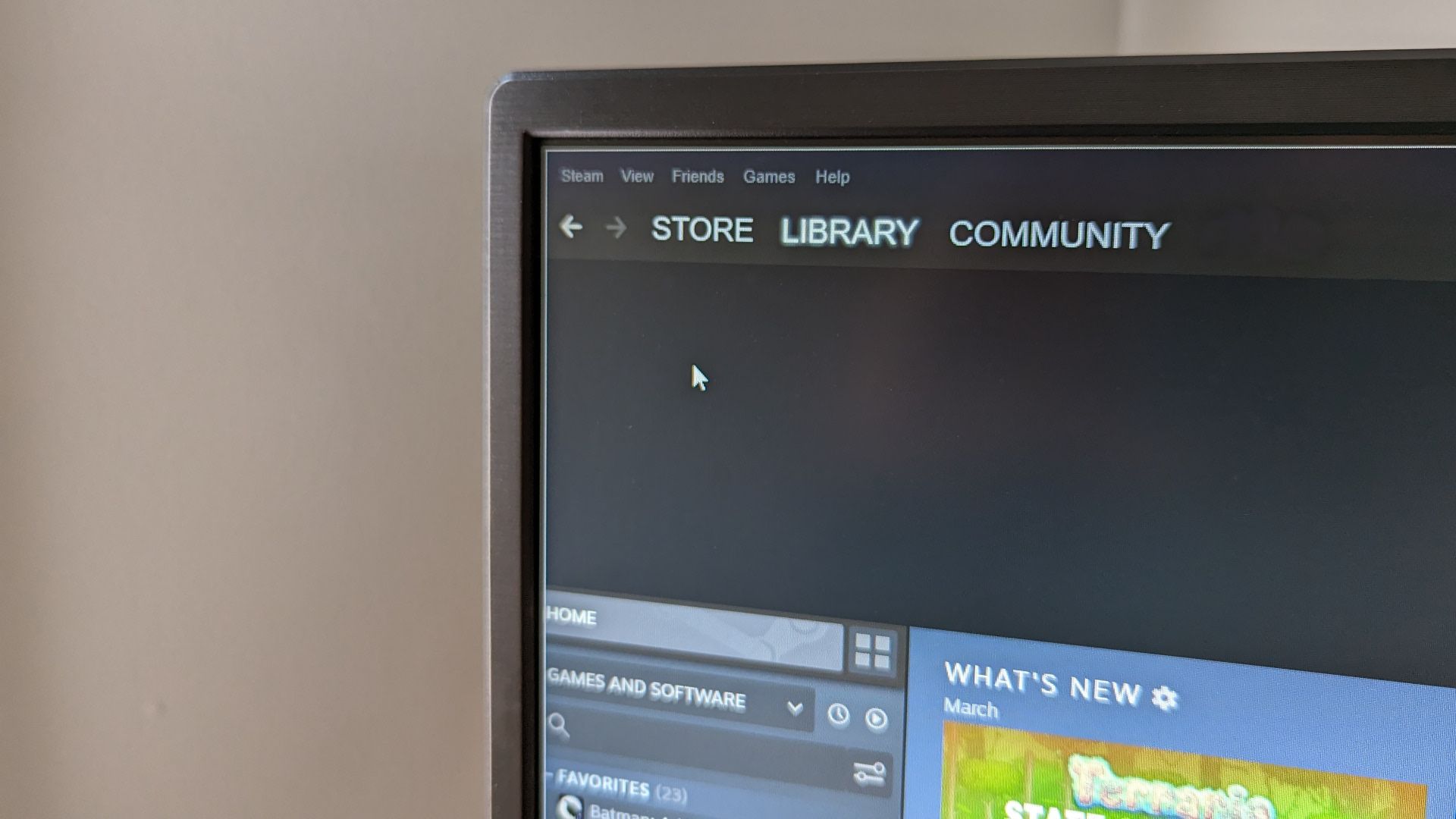 Steam library open on a computer monitor with the library disappearing.