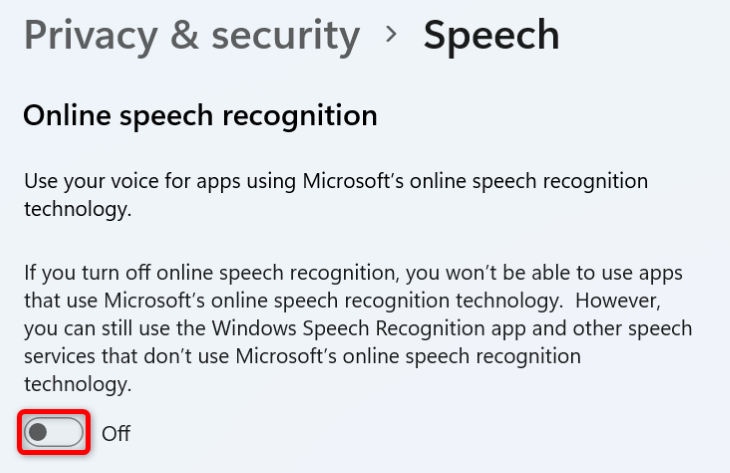 Disable "Online Speech Recognition."