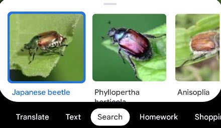 Bug search results.