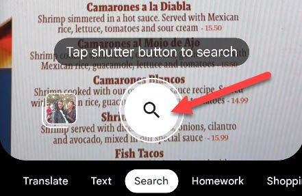 Point at text and tap the shutter button.