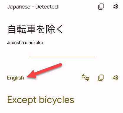 Translation results.