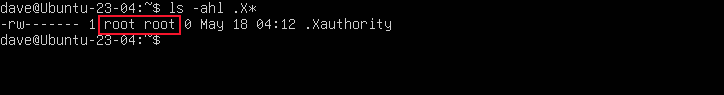Using ls to search for an .Xauthority file