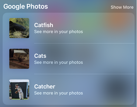 Find photos with Spotlight.