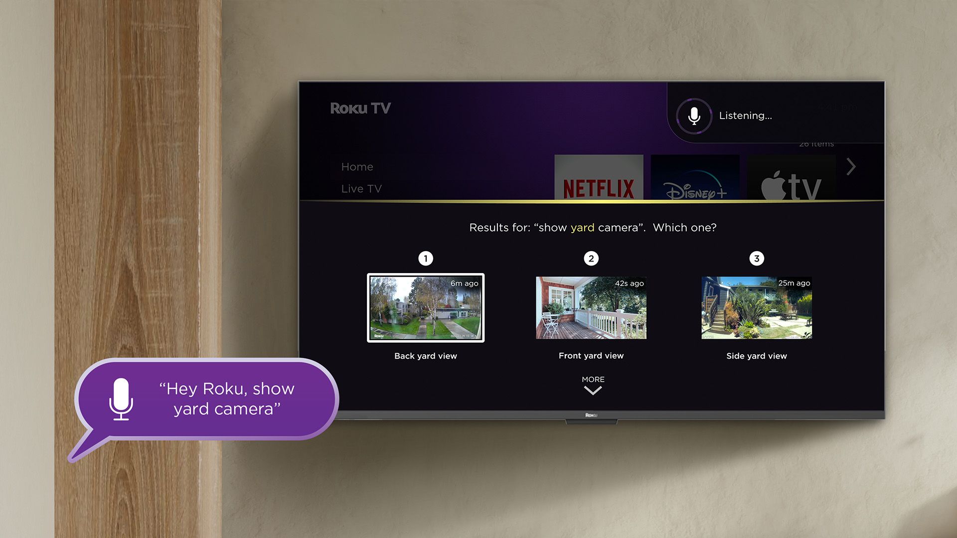 Using a voice command to view camera feeds on a Roku TV