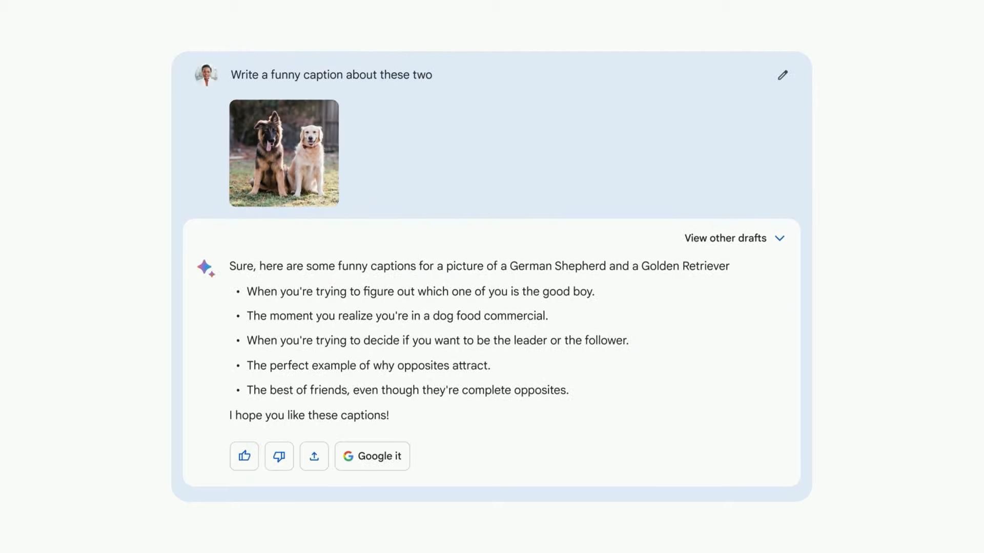 Google Lens screenshot in Bard
