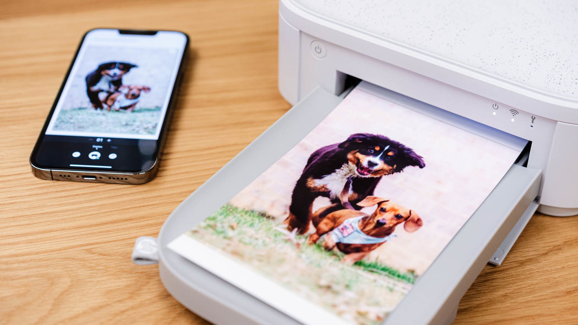 HP Sprocket Plus Photo Printer with printed images of puppies
