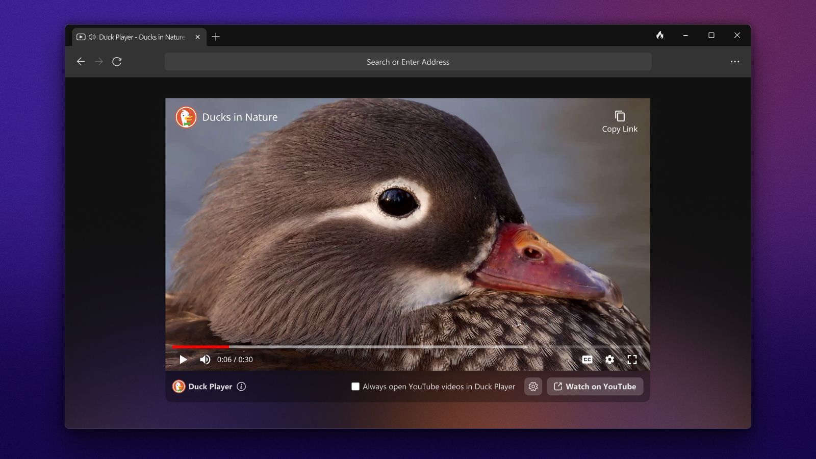 DuckDuckGo browser on Windows