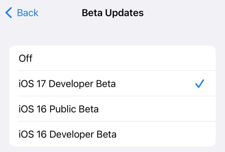 Select Developer Beta from the Software Update > Beta Updates menu in iOS