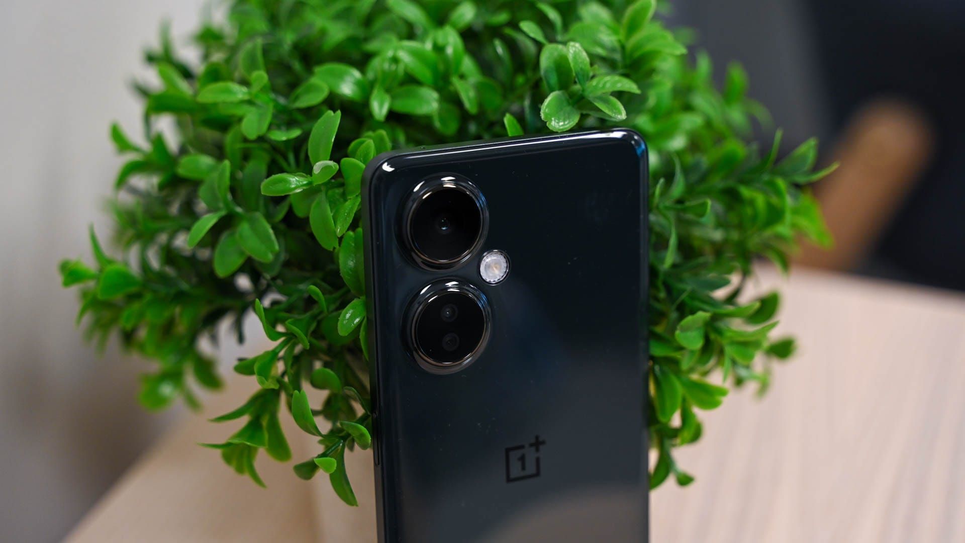Rear cameras on the OnePlus Nord N30
