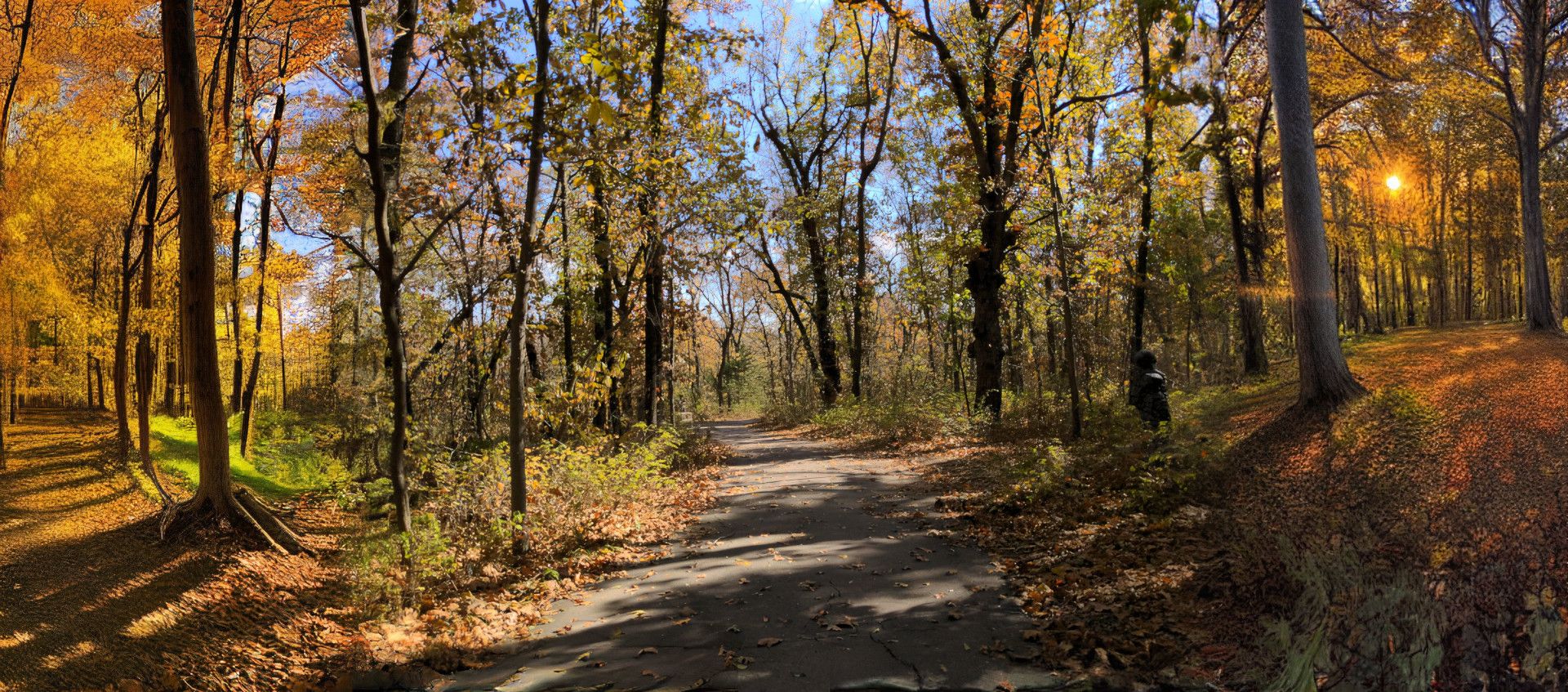 Upscaled photo of a walking path in autumn with the left and right side generated using Stable Diffusion.