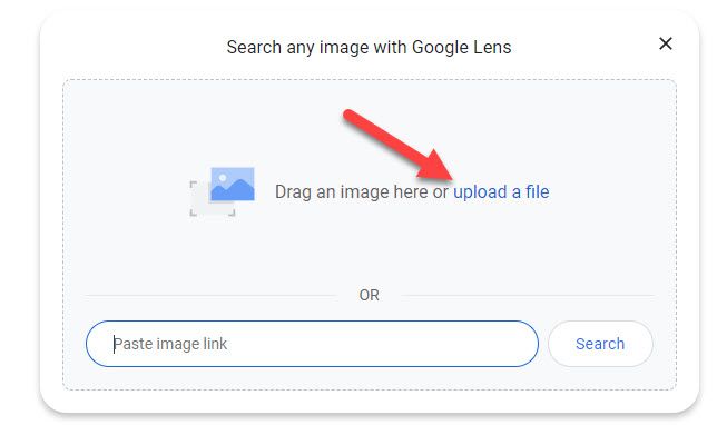 Upload an image or paste a link and tap 