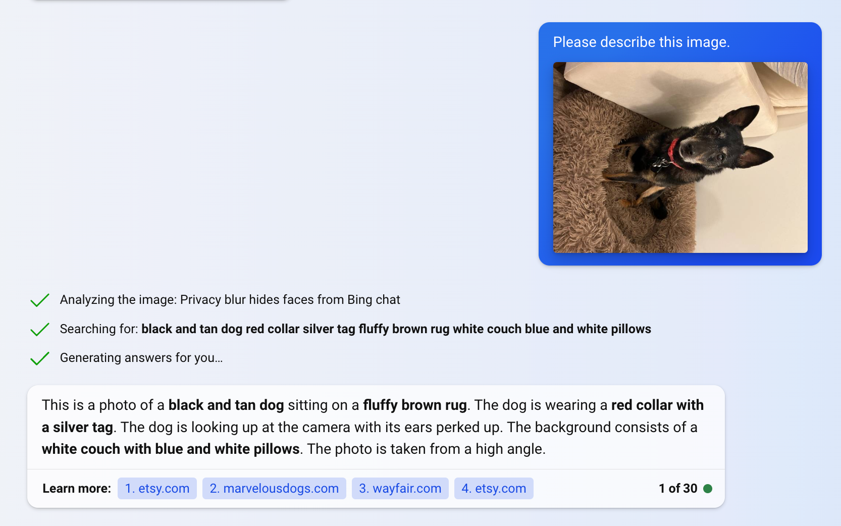 Bing Chat AI image detection screenshot with a dog picture