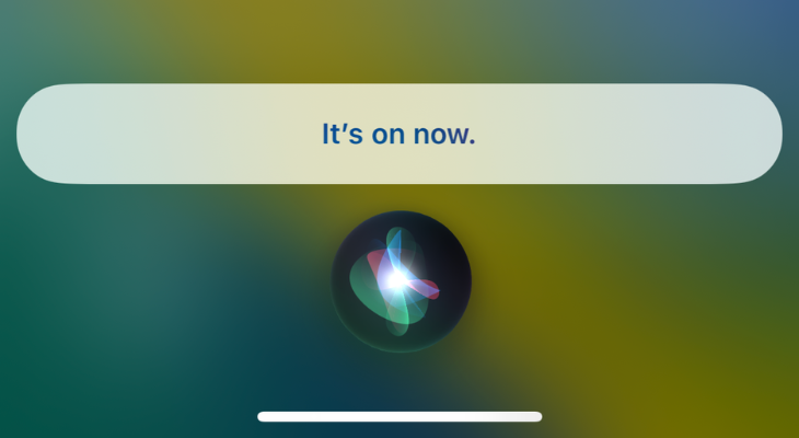 Siri's confirmation dialogue box for turning on flashlight