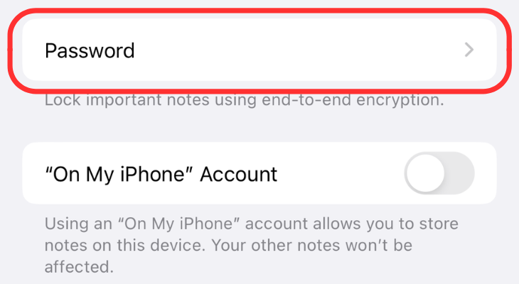 Notes settings highlighting the Password option