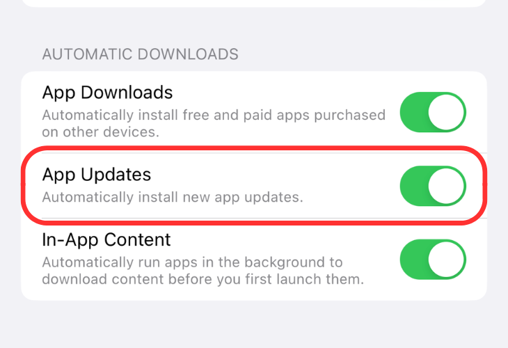 App Store menu highlighting the App Updates option