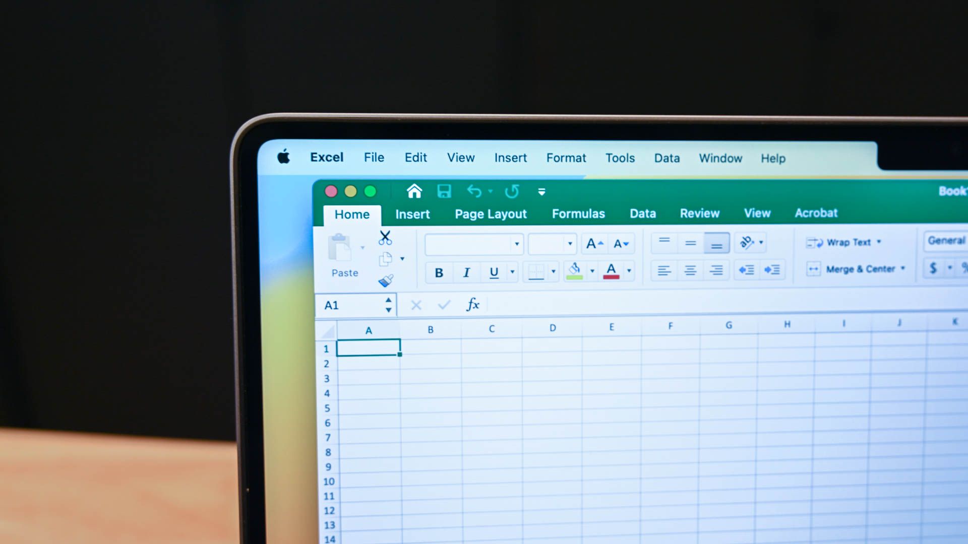 Microsoft Excel open on a Mac. 