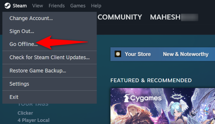 Select Steam &gt; Go Offline/Online.