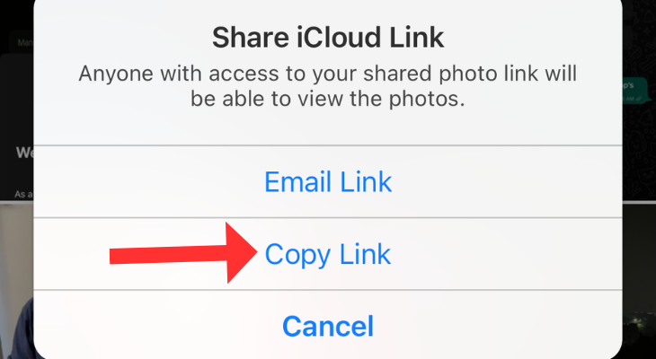 Option to Copy Link to selected images on iCloud