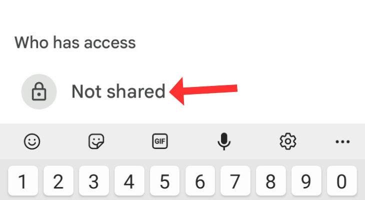 Who has access option in Google Drive
