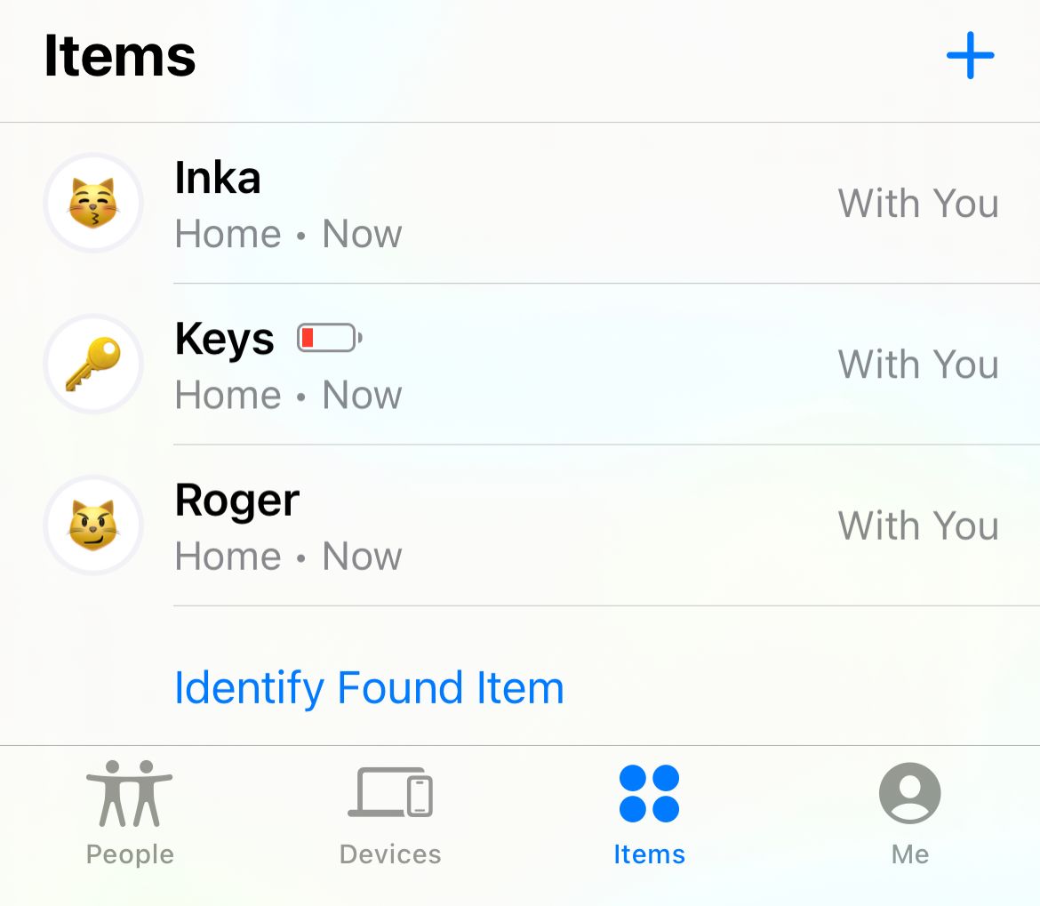 Track items in the Find My app for iPhone