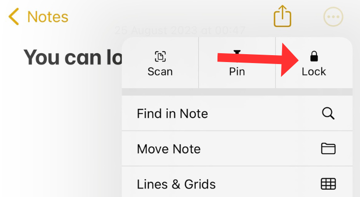 A file in Apple Notes with an arrow next to the Lock icon