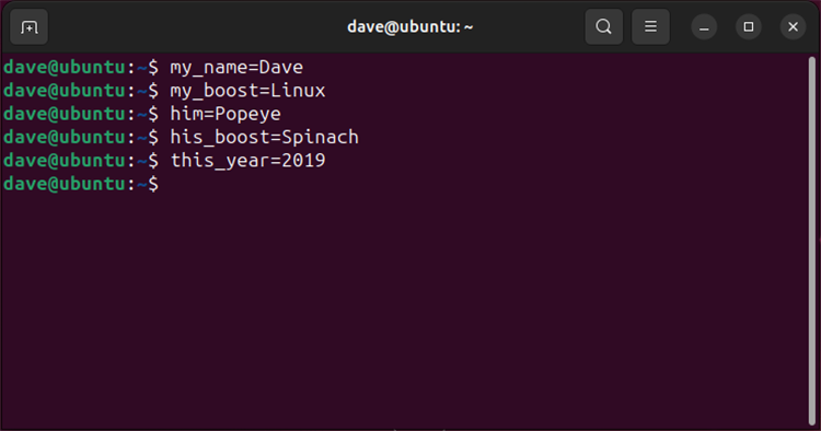 Defining variables in Linux. 