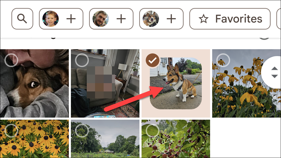 Select a photo.