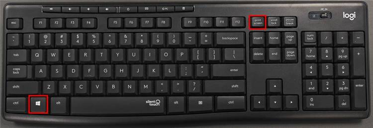 Press the Windows and Print Screen button.