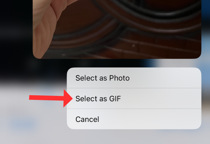 WhatsApp Photos menu highlighting the option to select a Live photo as GIF