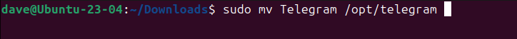 Moving the extracted files to the /opt directory