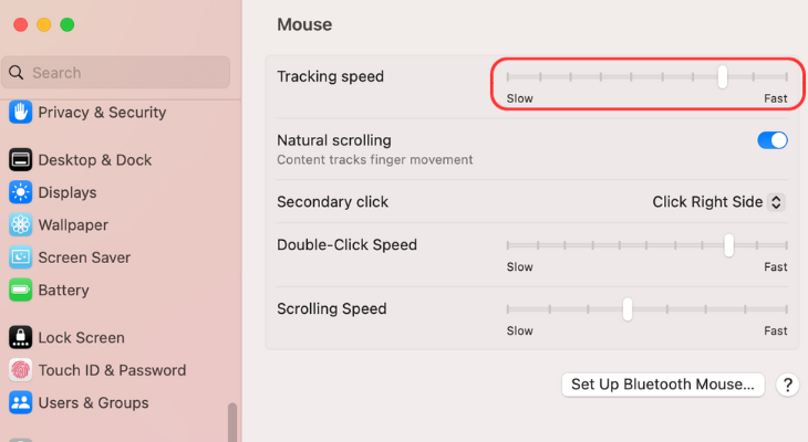 Tracking speed slider for mouse in macOS